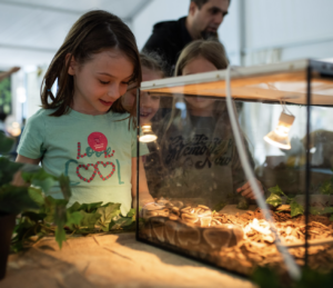 Slika zaslona 2026 03 27 u 18.51.26