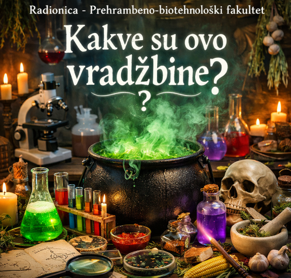 Screenshot 2026 03 19 110017