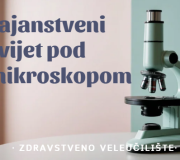 Screenshot 2026 03 19 111622