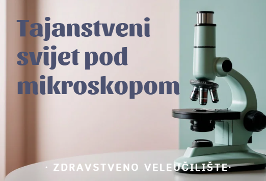 Screenshot 2026 03 19 111622