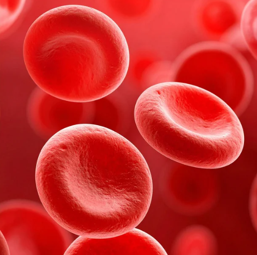 Screenshot 2026 03 19 113155