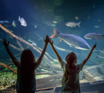 Screenshot 2026 03 19 113332