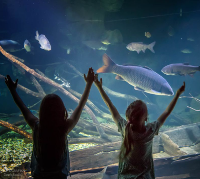 Screenshot 2026 03 19 113332