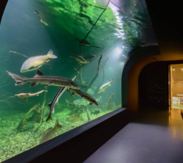 Screenshot 2026 03 19 113411