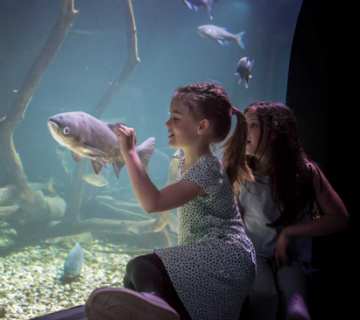 Screenshot 2026 03 19 113420