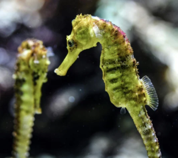 Screenshot 2026 03 19 115655