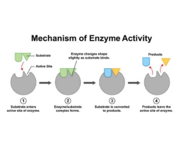 Screenshot 2026 03 19 120139