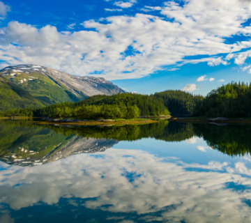 Screenshot 2026 03 19 130239