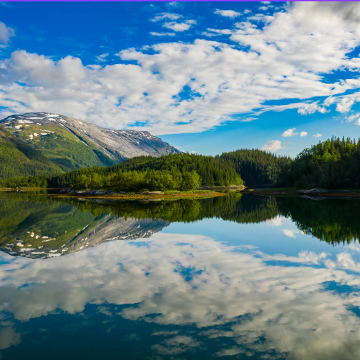 Screenshot 2026 03 19 130239