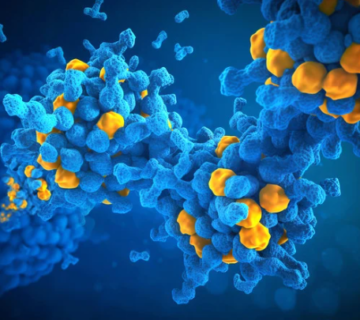 Screenshot 2026 03 19 130758