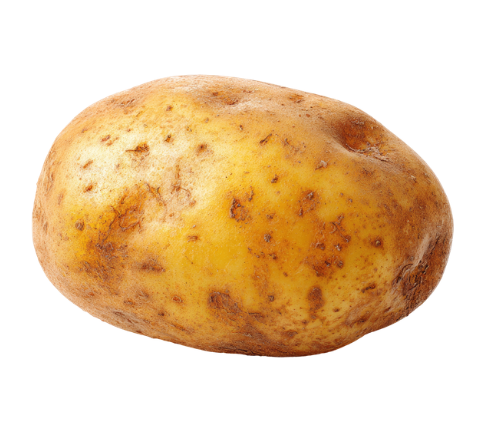 Screenshot 2026 03 23 152445