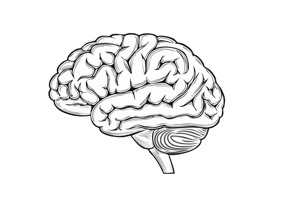 Slika zaslona 2026 03 27 u 18.17.21