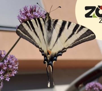 Slika zaslona 2026 03 27 u 18.28.21