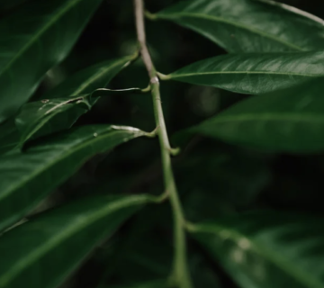 Slika zaslona 2026 03 27 u 18.32.02