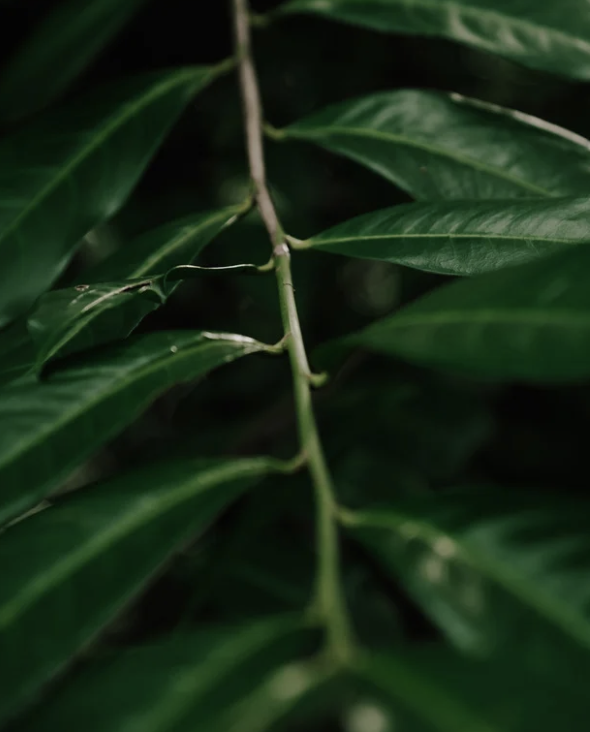 Slika zaslona 2026 03 27 u 18.32.02