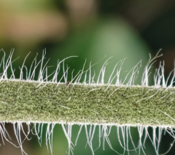 Slika zaslona 2026 03 27 u 18.36.32