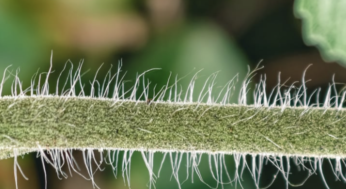 Slika zaslona 2026 03 27 u 18.36.32